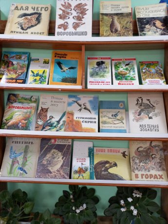 Книжная выставка